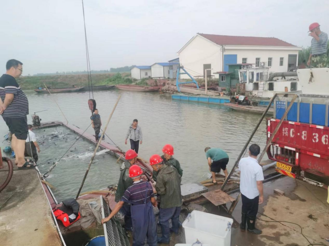 澧縣土地資源,澧縣公共基礎設施,澧縣工商業信息咨詢,澧縣澧州實業發展有限公司