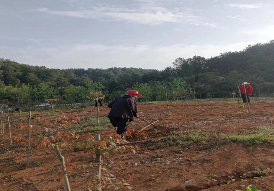 澧縣土地資源,澧縣公共基礎設施,澧縣工商業信息咨詢,澧縣澧州實業發展有限公司