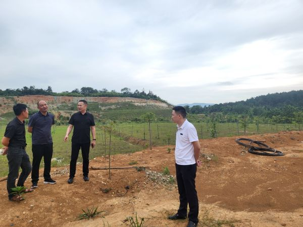 澧縣土地資源,澧縣公共基礎設施,澧縣工商業信息咨詢,澧縣澧州實業發展有限公司