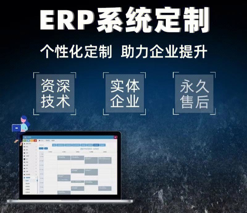 新余教育領域中，ERP如何支持學校設施和資源管理？